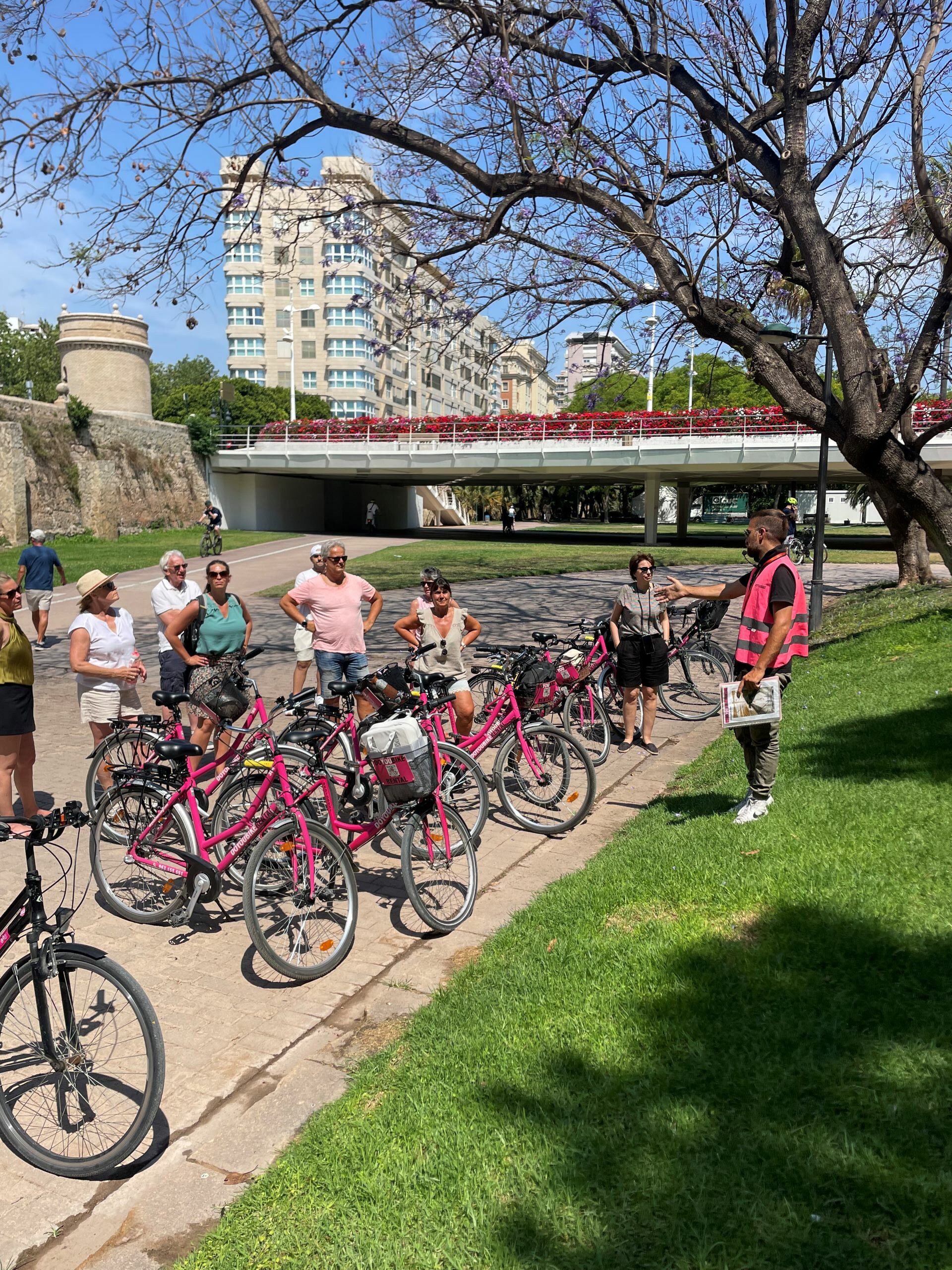 Bicicletas de alquiler en Valencia preparadas para recorrer la ciudad